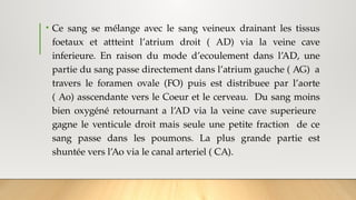 • Ce sang se mélange avec le sang veineux drainant les tissus
foetaux et attteint l’atrium droit ( AD) via la veine cave
inferieure. En raison du mode d’ecoulement dans l’AD, une
partie du sang passe directement dans l’atrium gauche ( AG) a
travers le foramen ovale (FO) puis est distribuee par l’aorte
( Ao) asscendante vers le Coeur et le cerveau. Du sang moins
bien oxygéné retournant a l’AD via la veine cave superieure
gagne le venticule droit mais seule une petite fraction de ce
sang passe dans les poumons. La plus grande partie est
shuntée vers l’Ao via le canal arteriel ( CA).
 