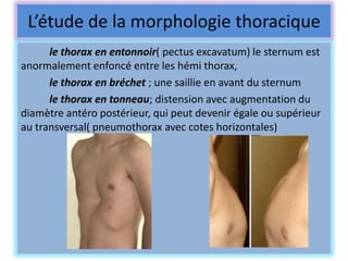 L’étude de la morphologie thoracique
      le thorax en entonnoir( pectus excavatum) le sternum est
anormalement enfoncé entre les hémi thorax,
      le thorax en bréchet ; une saillie en avant du sternum
      le thorax en tonneau; distension avec augmentation du
diamètre antéro postérieur, qui peut devenir égale ou supérieur
au transversal( pneumothorax avec cotes horizontales)
 
