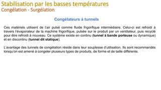 Stabilisation par les basses températures
Congélation - Surgélation
Congélateurs à tunnels
Ces matériels utilisent de l’ai...