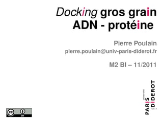 Docking gros grain
  ADN - protéine
                    Pierre Poulain
 pierre.poulain@univ-paris-diderot.fr

                  M2 BI – 11/2011
 