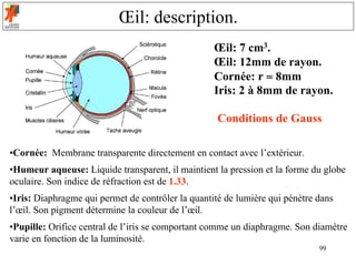 Œil: description.
                                                   Œil: 7 cm3.
                                                   Œil: 12mm de rayon.
                                                   Cornée: r ≈ 8mm
                                                   Iris: 2 à 8mm de rayon.

                                                    Conditions de Gauss

•Cornée: Membrane transparente directement en contact avec l’extérieur.
•Humeur aqueuse: Liquide transparent, il maintient la pression et la forme du globe
oculaire. Son indice de réfraction est de 1.33.
•Iris: Diaphragme qui permet de contrôler la quantité de lumière qui pénètre dans
l’œil. Son pigment détermine la couleur de l’œil.
•Pupille: Orifice central de l’iris se comportant comme un diaphragme. Son diamètre
varie en fonction de la luminosité.
                                                                             99
 
