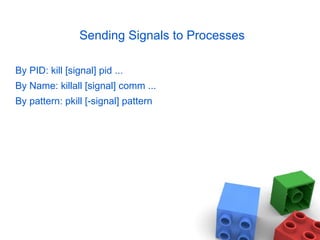 Sending Signals to Processes
By PID: kill [signal] pid ...
By Name: killall [signal] comm ...
By pattern: pkill [-signal] pattern
 