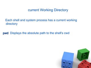 current Working Directory
Each shell and system process has a current working
directory
pwdpwd Displays the absolute path to the shell's cwd
 