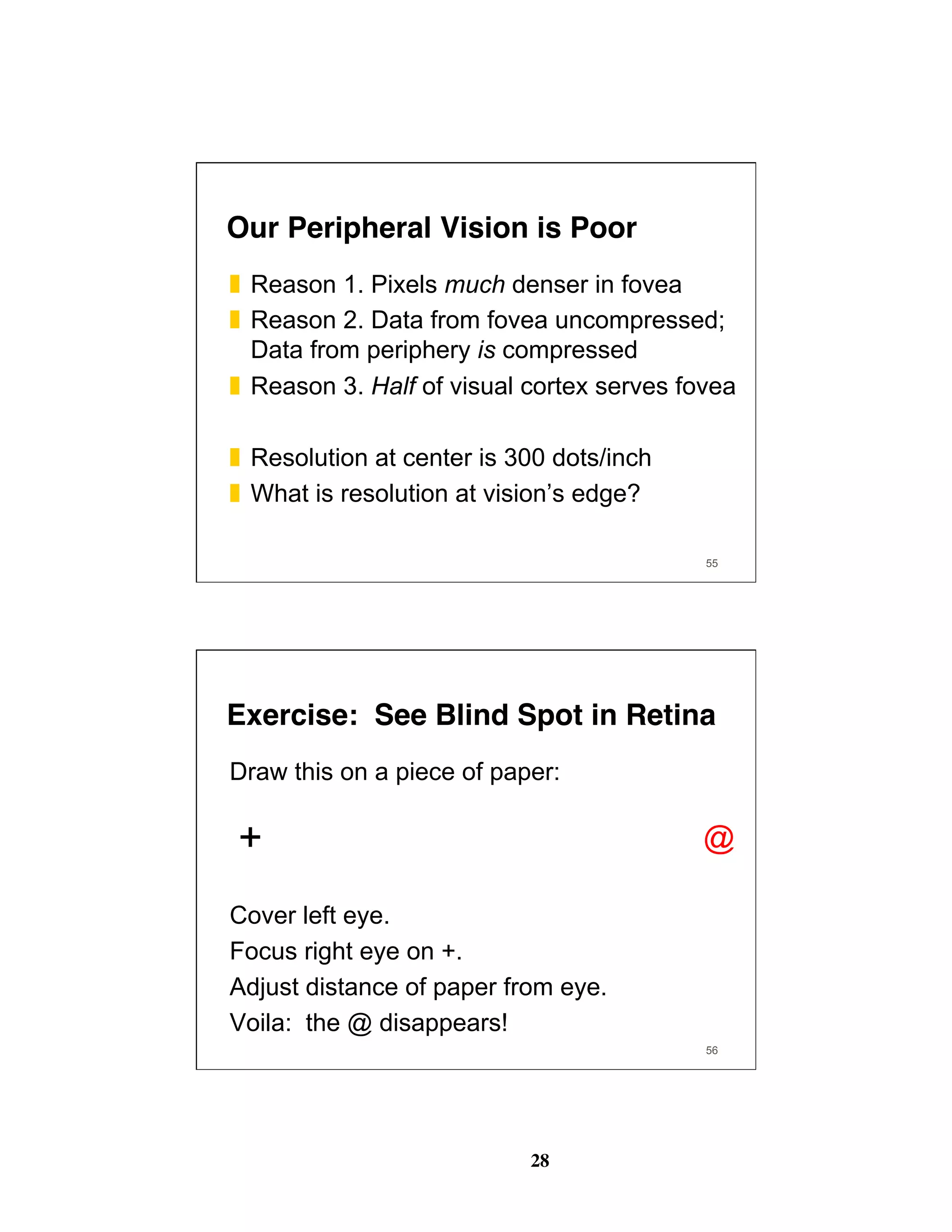 28
55
Our Peripheral Vision is Poor
❚  Reason 1. Pixels much denser in fovea
❚  Reason 2. Data from fovea uncompressed;
Data from periphery is compressed
❚  Reason 3. Half of visual cortex serves fovea
❚  Resolution at center is 300 dots/inch
❚  What is resolution at vision’s edge?
56
Exercise: See Blind Spot in Retina
Draw this on a piece of paper:
+ @
Cover left eye.
Focus right eye on +.
Adjust distance of paper from eye.
Voila: the @ disappears!
 