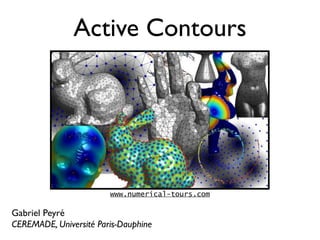 Active Contours




                        www.numerical-tours.com

Gabriel Peyré
CEREMADE, Université Paris-Dauphine
 