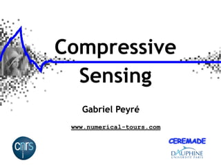 Compressive
  Sensing
   Gabriel Peyré
 www.numerical-tours.com
 