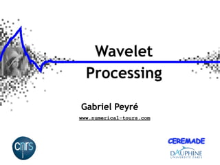 Wavelet
  Processing

Gabriel Peyré
www.numerical-tours.com
 