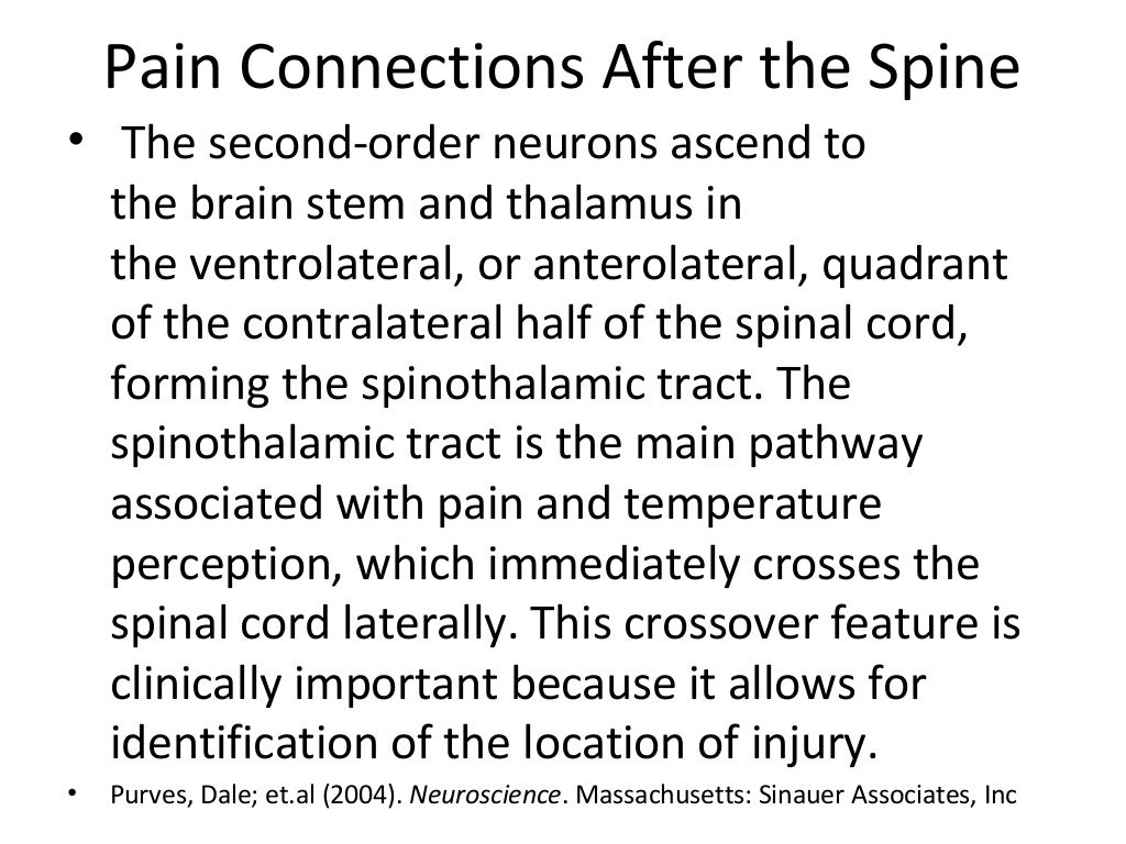 Course 1 acute versus chronic pain