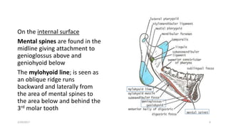 Midline Ridge Muscle Course 2016 MANDIBLE MUSCLES OF MASTICATION AND TEMPOROMANDIBULAR JOINT ...