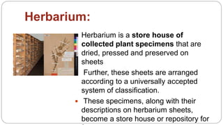 Herbarium:
 Herbarium is a store house of
collected plant specimens that are
dried, pressed and preserved on
sheets
 Further, these sheets are arranged
according to a universally accepted
system of classification.
 These specimens, along with their
descriptions on herbarium sheets,
become a store house or repository for
 