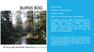 BURNS BOG Burns Bog
Address: North Delta
Sector: Public
SPSC 2210 Connection: Recreation
A nature reserve with a boardwalk trail,
Burns Bog makes for a pleasant area to
walk and connect with nature.
Maintenance of the park is government
funded, making Burns bog part of the
public sector. There are no fees to
access the boardwalk.
As a side note, in elementary school I remember having a
field trip to the bog where we were taught about the
history of the bog and how to identify some of the plants.
I remember being particularly interested in two similar
looking plants, Labrador tea and Lambkill, which as one
might be able to infer from the names should not be
confused for one another.
The Burns Bog Boardwalk. Web Source: burnsbog.org
 