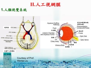 10
Courtesy of Prof.
Wentai Liu
1.ҕXϵy
ҕWĤ
}jĤ
Ĥ
S߲
ҕ
XҕX^
Ĥ
ˮw
й⼚(F
cU)
II.˹ҕWĤ
 