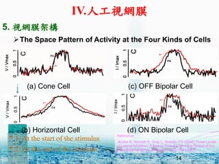 14
(a) Cone Cell
(b) Horizontal Cell
(c) OFF Bipolar Cell
(d) ON Bipolar Cell
* 1: At the start of the stimulus
* 2: At the end of the stimulus
?The Space Pattern of Activity at the Four Kinds of Cells
Reference:
Roska B, Nemeth E, Orzo L, Werblin FS (2000) Three Levels
of Lateral Inhibition: A Space-Time Study of the Retina of the
Tiger Salamander. J. Neurosci., 20(5):1941-1951
5. ҕWĤܘ
IV.˹ҕWĤ
14
 