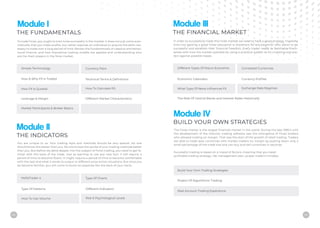 Alpha Zone Pro Forex Trading Course Brochure | PDF