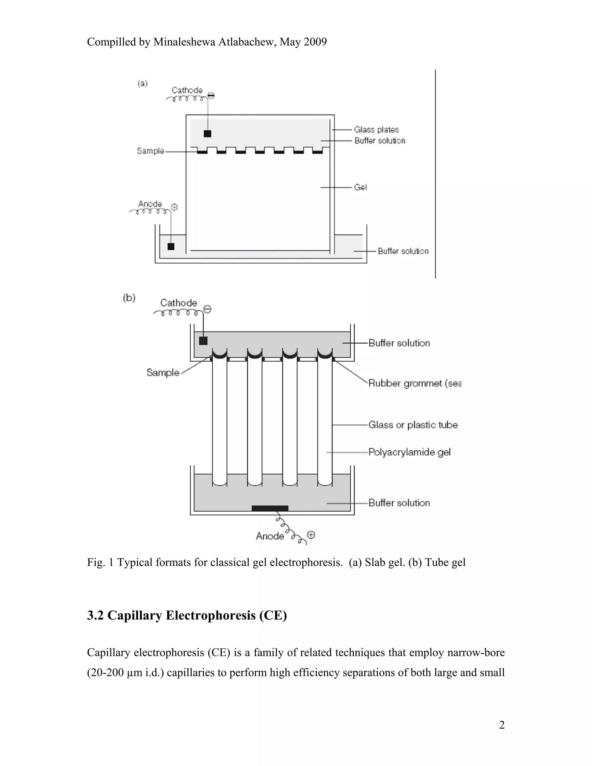 capillary electrophorosis techniques | PDF