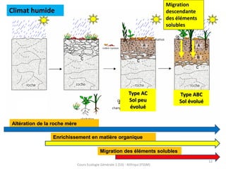 12
Cours Ecologie Générale 1 (S3) : Alifriqui (FSSM)
Climat humide
Altération de la roche mère
Enrichissement en matière organique
Migration des éléments solubles
Type AC
Sol peu
évolué
Type ABC
Sol évolué
Migration
descendante
des éléments
solubles
 