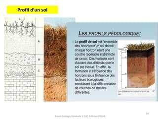 14
Cours Ecologie Générale 1 (S3), Alifriqui (FSSM)
Profil d’un sol
 