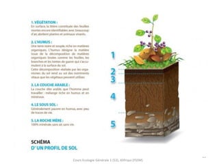 15
Cours Ecologie Générale 1 (S3), Alifriqui (FSSM)
 