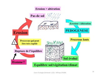 Cours Ecologie Générale 1 (S3) : Alifriqui (FSSM)
16
 