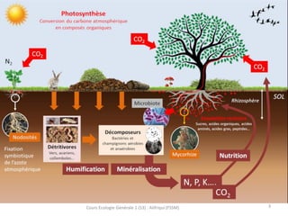 Cours Ecologie Générale 1 (S3) : Alifriqui (FSSM) 3
 