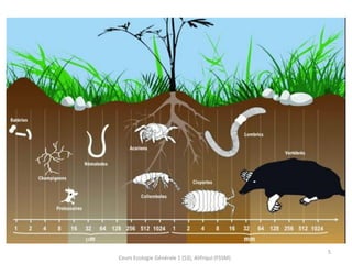 Cours Ecologie Générale 1 (S3), Alifriqui (FSSM)
5
 