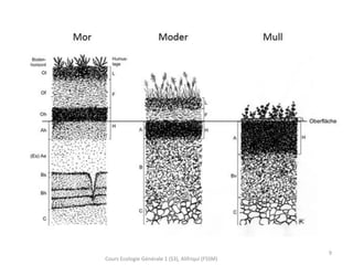 Cours Ecologie Générale 1 (S3), Alifriqui (FSSM)
9
 
