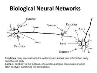 Biological Neural Networks
Soma Soma
Synapse
Synapse
Dendrites
Axon
Synapse
Dendrites
Axon
(Picture from M. Negnevitsky, P...