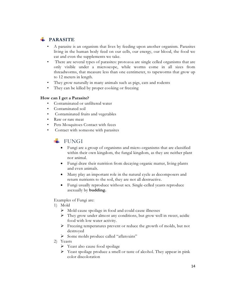 Cheap research paper writers