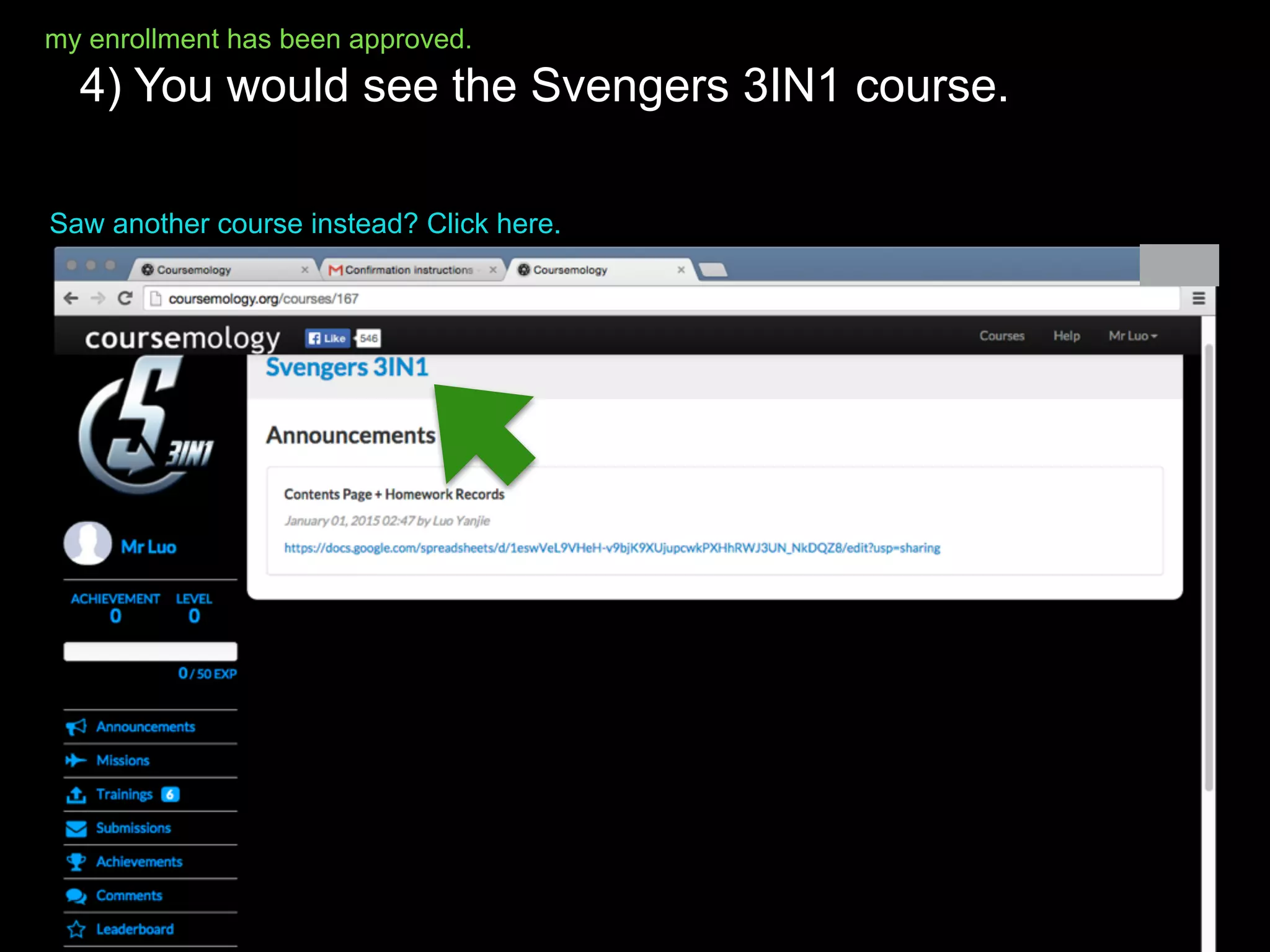 Coursemology Guide for 3IN1 | PPT