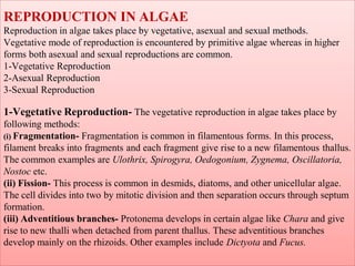 Course Name-Biology and Diversity of Algae, Bryophyta and Pteridophyta ...