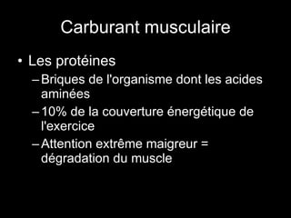 Carburant musculaire Les protéines Briques de l'organisme dont les acides aminées 10% de la couverture énergétique de l'exercice Attention extrême maigreur = dégradation du muscle 