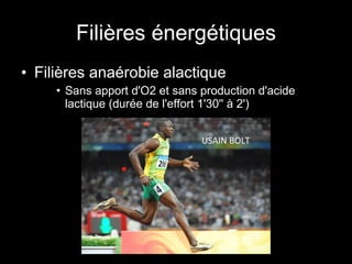 Filières énergétiques Filières anaérobie alactique Sans apport d'O2 et sans production d'acide lactique (durée de l'effort 1'30'' à 2') USAIN BOLT 