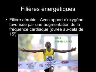Filières énergétiques Filière aérobie : Avec apport d'oxygène favorisée par une augmentation de la fréquence cardiaque (durée au-delà de 15') HAILE GEBRESELASSIE 