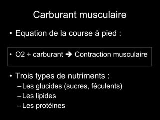 Carburant musculaire Equation de la course à pied : O2 + carburant    Contraction musculaire Trois types de nutriments : Les glucides (sucres, féculents) Les lipides Les protéines 