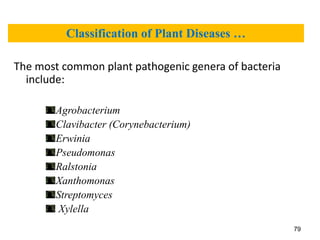 Course Powerpoint (FFV).pptx