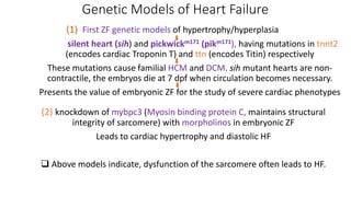 Course Presentation - Aquatic Animal Anatomy.pptx
