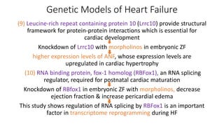 Course Presentation - Aquatic Animal Anatomy.pptx