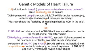 Course Presentation - Aquatic Animal Anatomy.pptx