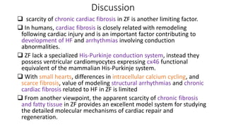 Course Presentation - Aquatic Animal Anatomy.pptx