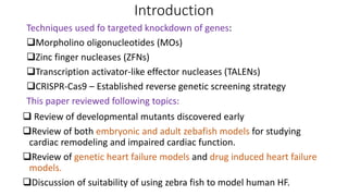 Course Presentation - Aquatic Animal Anatomy.pptx