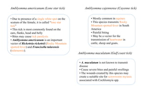 • Due to presence of a single white spot on the
scutum of the female, it is called “lone star
tick”
• This tick is most commonly found on the
ears, flanks, head and belly
• Bites may cause tick paralysis.
• Amblyomma americanum is an important
vector of Rickettsia rickettsii (Rocky Mountain
spotted fever) and Francisella tularensis
(tularaemia).
Amblyomma americanum (Lone star tick)
• Mostly common in equines
• This species transmits Rocky
Mountain spotted fever in South
America
• Painful biting
• May be a vector for the
transmission of heartwater in
cattle, sheep and goats.
Amblyomma cajennense (Cayenne tick)
• A. maculatum is not known to transmit
disease
• Cause severe bites and painful swellings
• The wounds created by this species may
create a suitable site for screwworm myiasis
associated with Cochliomyia spp.
Amblyomma maculatum (Gulf coast tick)
 