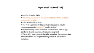• Predilection site: Skin
• The life cycle involves one larval and at least two nymphal
stages prior to adult
• Affects domestic poultry
• The four segments of the pedipalps are equal in length.
• Argas persicus is nocturnal (attacks at night)
• Infestation may cause irritation, sleeplessness, loss of egg
productivity and anaemia, which can prove fatal
• These ticks may transmit Borrelia anserina, the cause of fowl
spirochaetosis, and Aegyptianella pullorum, a rickettsial
infection.
Argas persicus (Fowl Tick)
 
