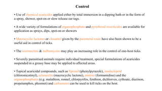• Use of chemical acaricides applied either by total immersion in a dipping bath or in the form of
a spray, shower, spot-on or slow release ear tags.
• A wide variety of formulations of organophosphate and pyrethroid insecticides are available for
application as sprays, dips, spot-on or showers
• Macrocyclic lactones or closantel given by the parenteral route have also been shown to be a
useful aid in control of ticks.
• The avermectins & milbemycins may play an increasing role in the control of one-host ticks.
• Severely parasitised animals require individual treatment, special formulations of acaricides
suspended in a greasy base may be applied to affected areas.
• Topical acaricidal compounds, such as fipronil (phenylpyrazole), imidacloprid
(chloronicotinyl), selamectin (macrocyclic lactone), amitraz (formamidine) and the
organophosphates (e.g. malathion, ronnel, chlorpyrifos, fenthion, dichlorvos, cythoate, diazinon,
propetamphos, phosmet) and carbamates can be used to kill ticks on the host.
Control
 