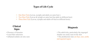 Types of Life Cycle
• One Host Tick (Larvae, nymphs and adults on same host )
• Two Host Tick (Larvae & nymph on same host but adult on different host)
• Three Host Tick (Larvae, nymphs and adults all feed on different hosts)
Clinical
Signs
• Presence of Parasites
• Local Skin infections
• inflamed nodules are also seen
Diagnosis
• The adult ticks, particularly the engorged
females are easily seen on the skin
• The predilection sites are face, ears, axilla
and inguinal region
 