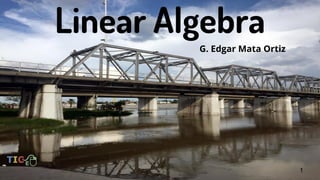 Linear Algebra
G. Edgar Mata Ortiz
1
 