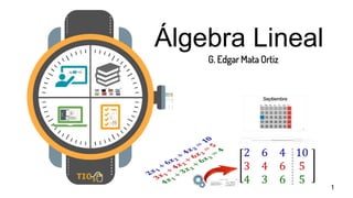 1
Álgebra Lineal
G. Edgar Mata Ortiz
 