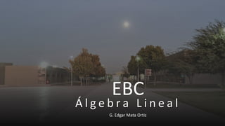 Course presentation linear algebra ea2021