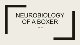 NEUROBIOLOGY
OF A BOXER
JD Ye
 