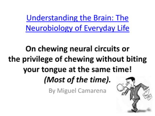 Understanding the Brain: The
Neurobiology of Everyday Life
On chewing neural circuits or
the privilege of chewing without biting
your tongue at the same time!
(Most of the time).
By Miguel Camarena
 