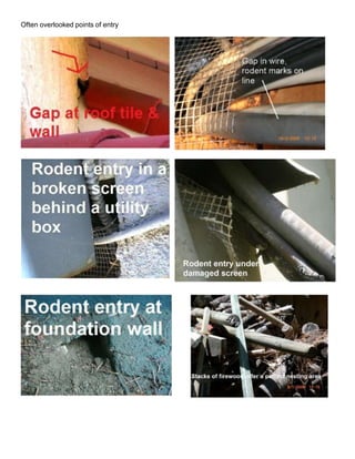 Often overlooked points of entry
 